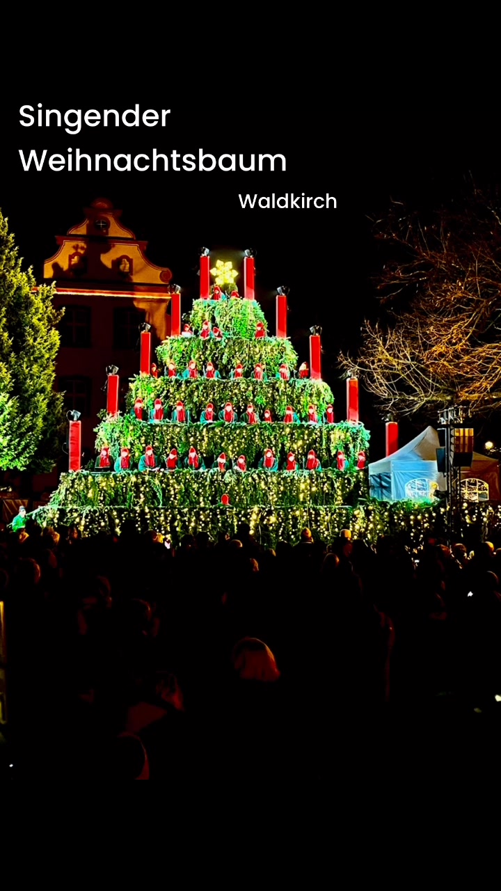 Singender Weihnachtsbaum in Wald